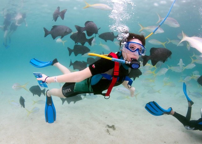 Angela diving into the clear waters during a Snuba tour.