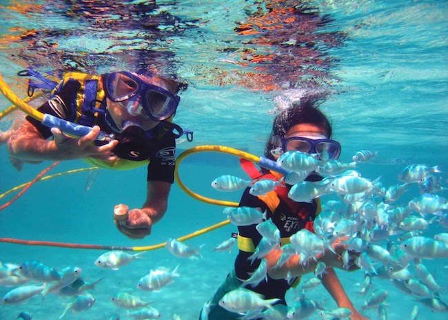 Carl and his sister watching the fish in the crystal clear waters of Cozumel.